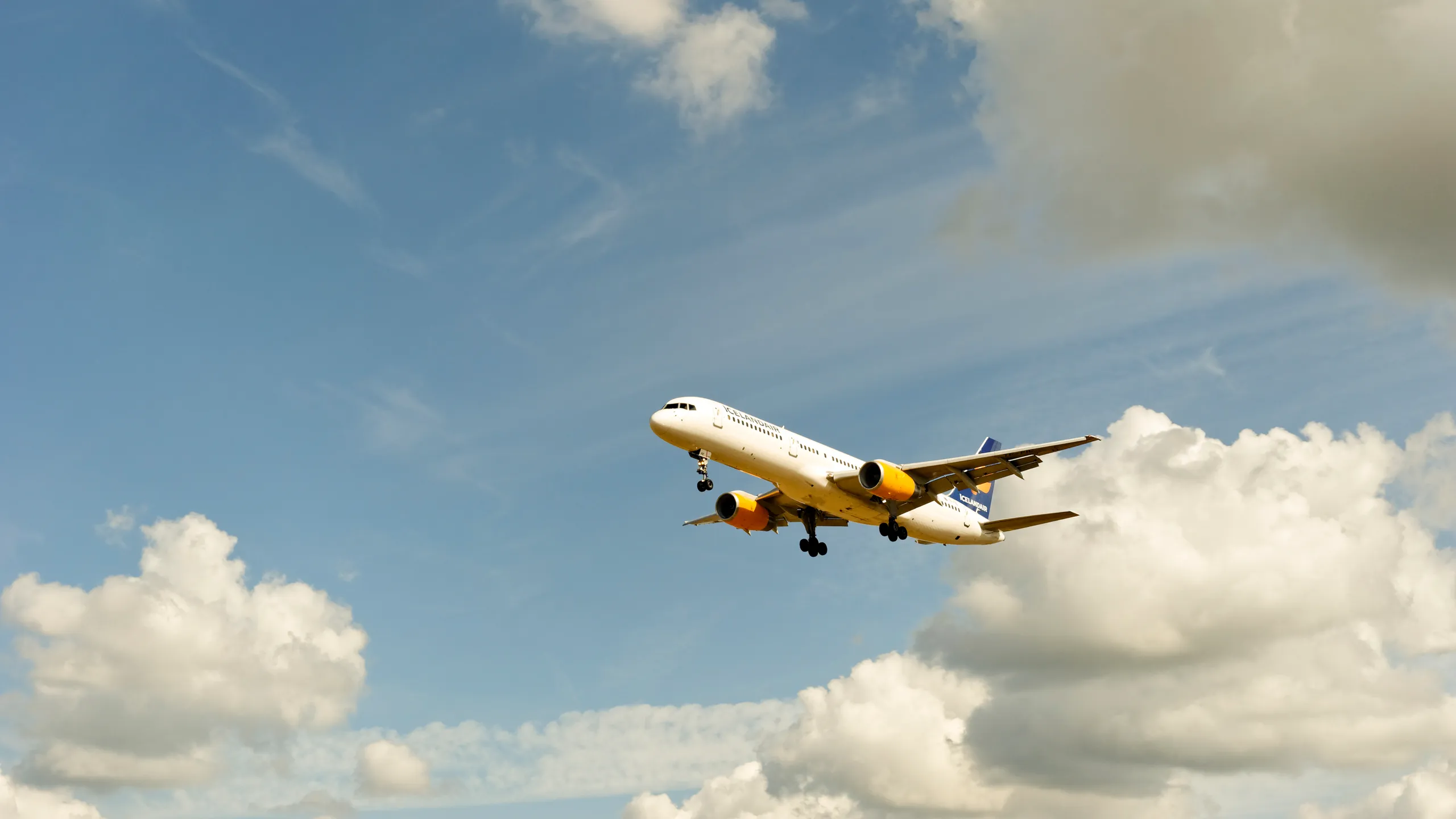 Book Budget Flight – Hawaiian airlines customer service