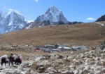 Everest Base Camp Trek