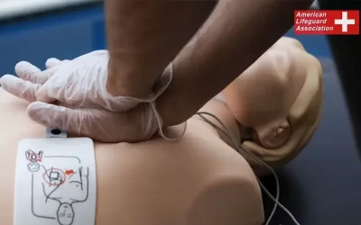 American Lifeguard Association