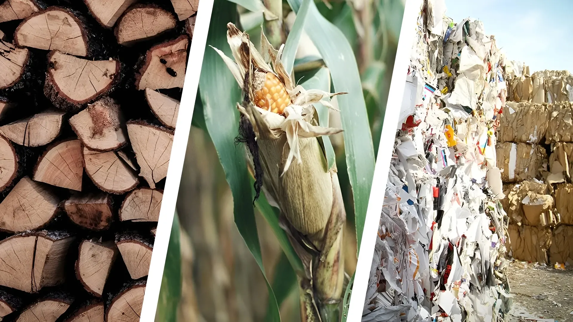 Fornnax Technology Pvt. Ltd