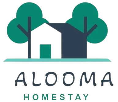 Alooma Valley View Stay Manali – Luxury Valley View Homestay