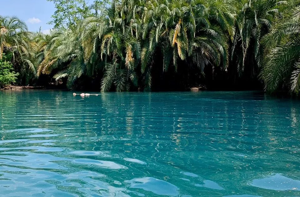 The Kili Trips & Safari Outfitters Co Ltd