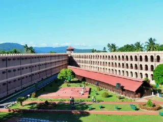 Cellular-Island-e1744826756313-1024×572-1