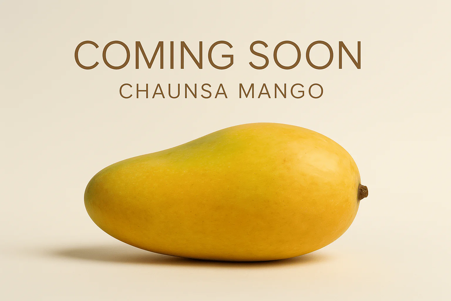 Dry mango companies in Pakistan