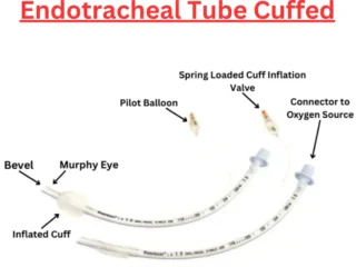 Endotracheal-tube-Cuffed