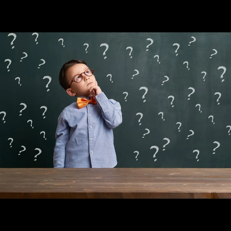 Life Expectancy Calculator