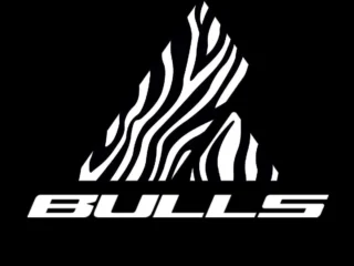 bulls-LOGO