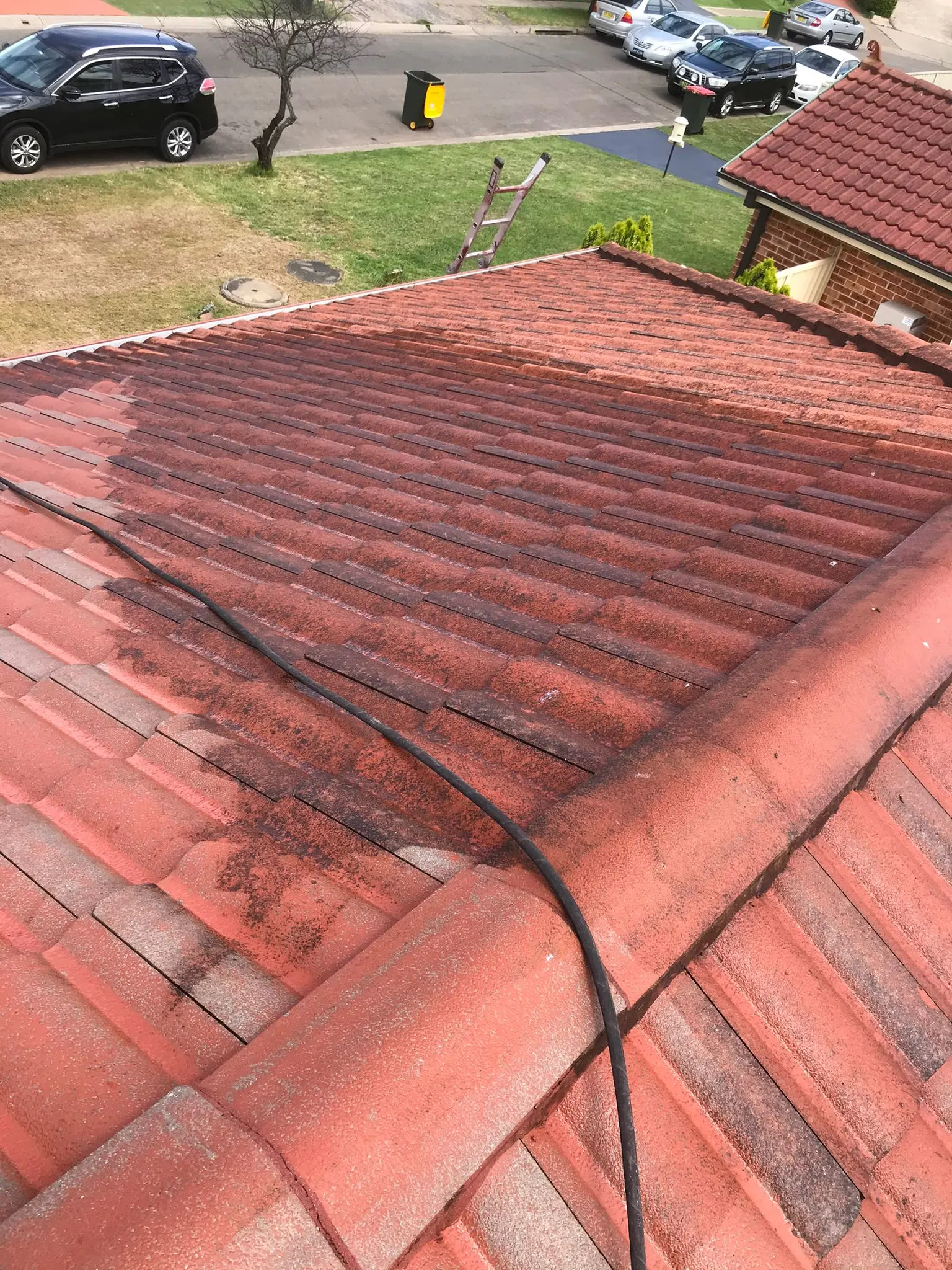 Roof Cleaning Sydney