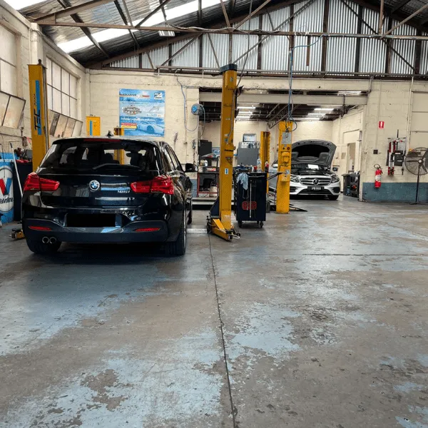 Mechanic Hawthorn