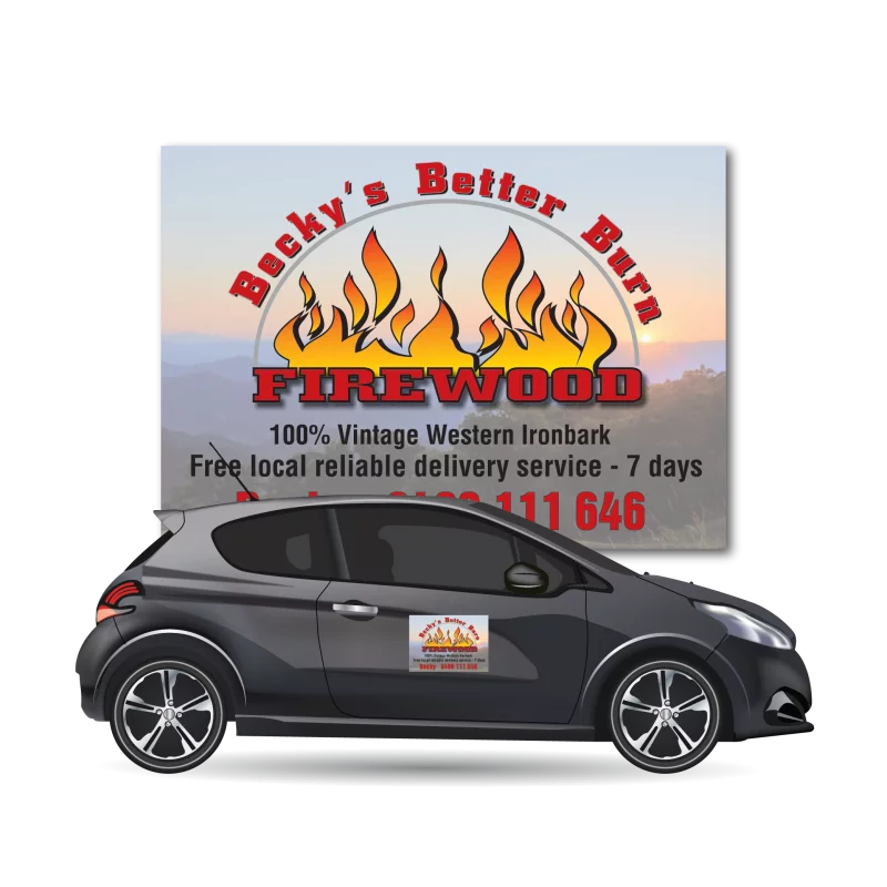Looking for Car Door Magnets