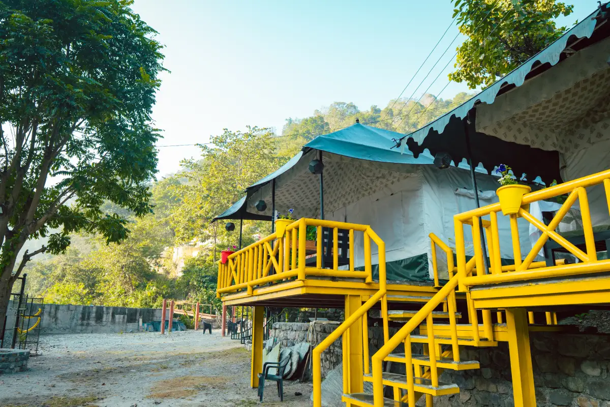 Yoga teacher training in rishikesh