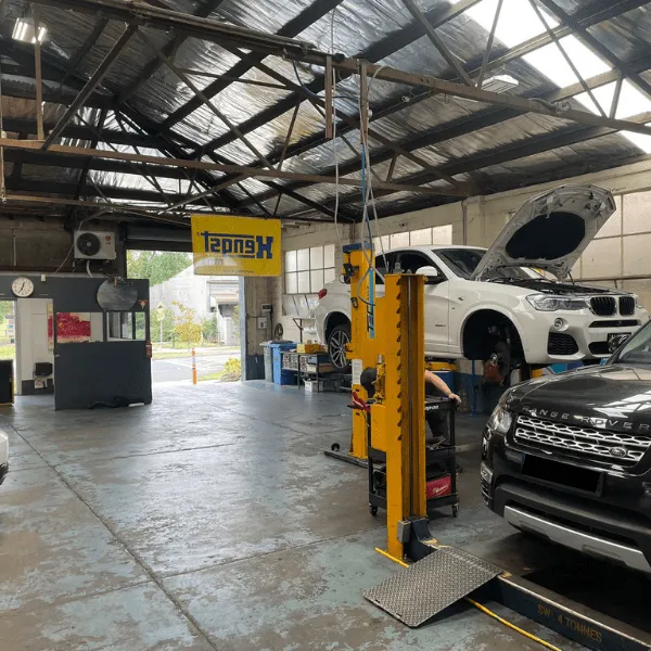 Mechanic Hawthorn
