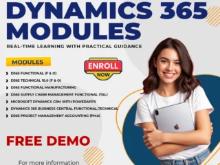 Build-Real-Dynamics-365-Skills-with-Visualpath
