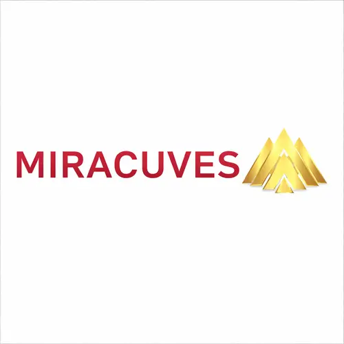Wise Clone App Development by Miracuves