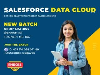 New-Batch-Salesforce-Data-Cloud-Online-Training-–-Join-Now