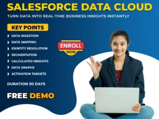 Salesforce-Data-Cloud-Training-Online-Corporate-Training
