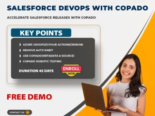 Salesforce-DevOps-Training-In-India-Corporate-Training