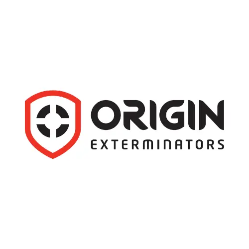 Termite Pest Control Services in Singapore – Effective & Long-Lasting Protection