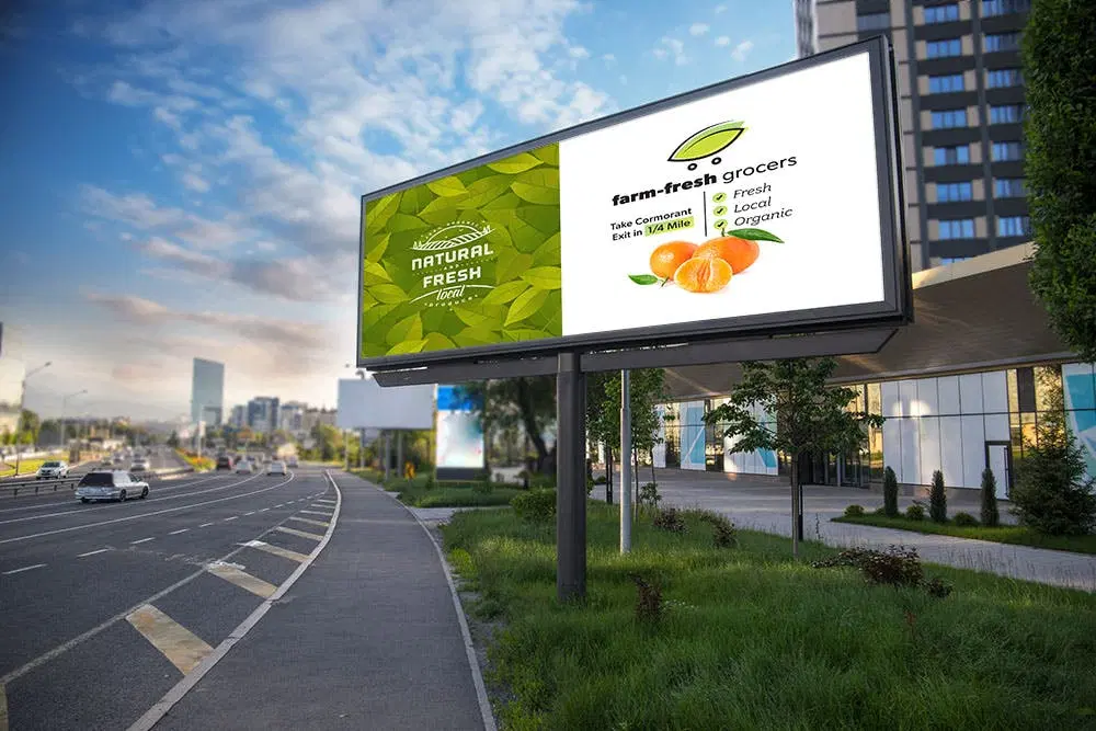CashurDrive Marketing Ltd.
