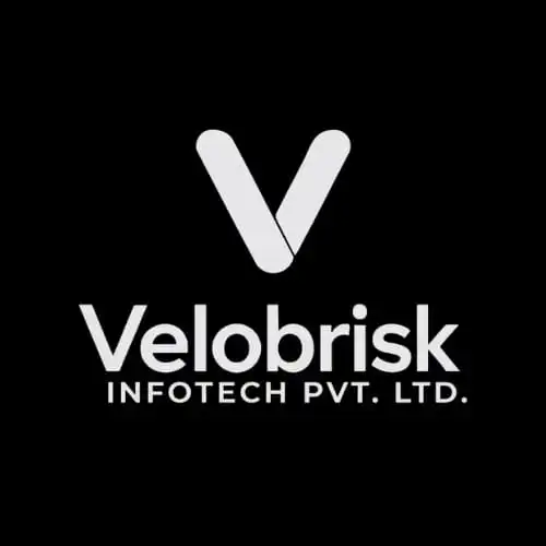 Velobrisk Infotech Pvt Ltd | Best Digital Marketing Company in Kanpur
