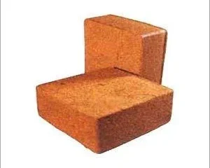 buffered-coco-peat-1677324670-6778842