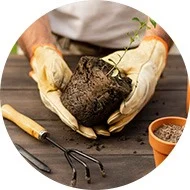fertilizing-lawn-in-the-spring