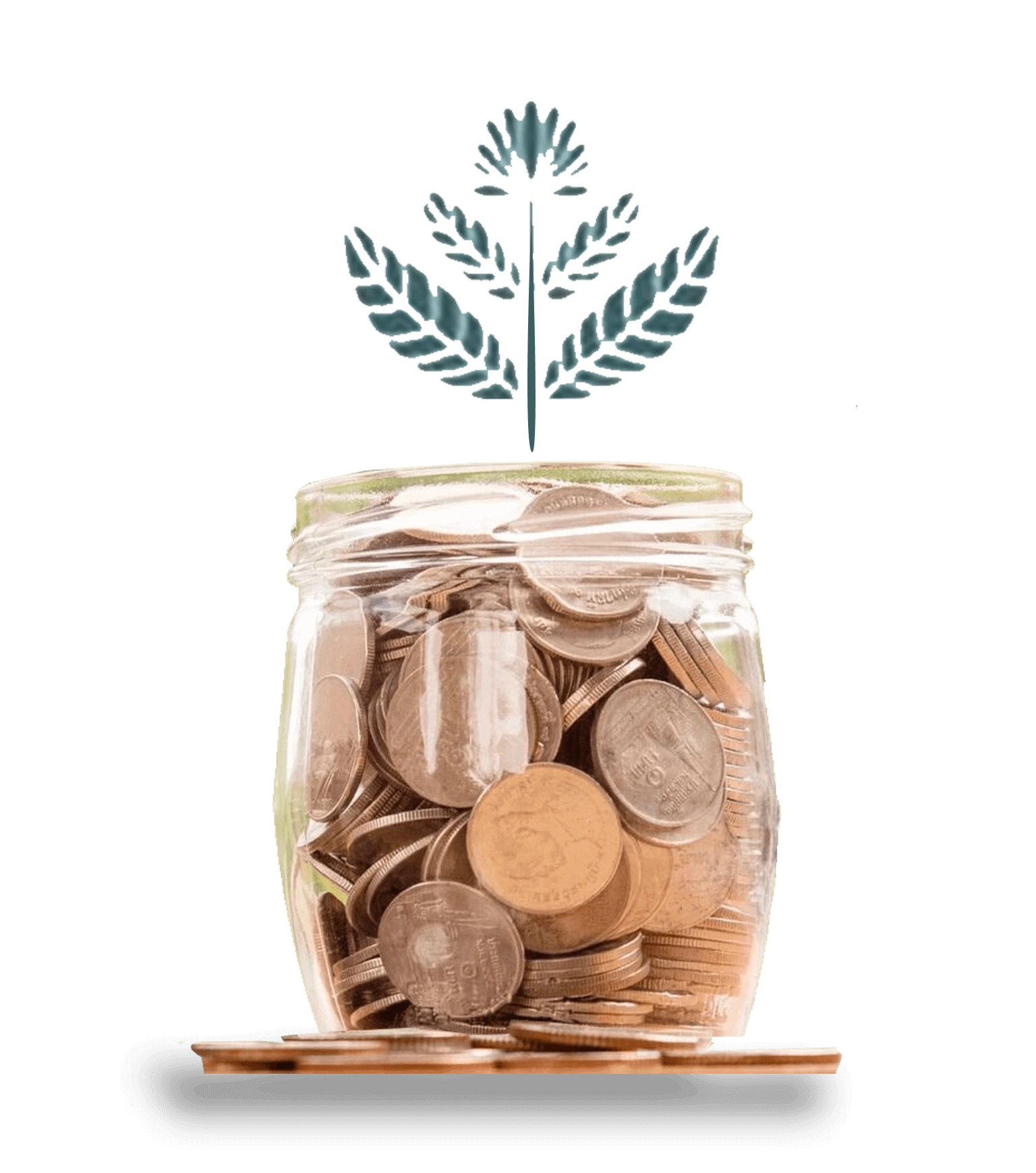 Best Financial Advisor in Hyderabad
