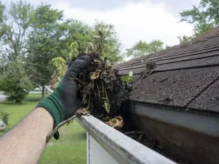 main-gutters-1-rg7dzo0i8qog1uxpy7ff9zn59znbnu8lojcz3rfp8g