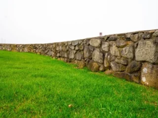 turf-management-saginaw-michigan