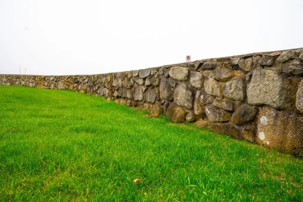 Top-Rated Turf Management Saginaw Michigan Solutions