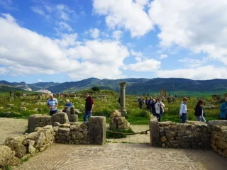 volubilis-3981514991-1