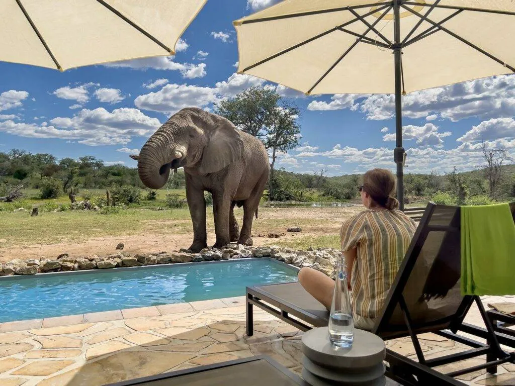 Top Best Things to Do on Tanzania Safaris