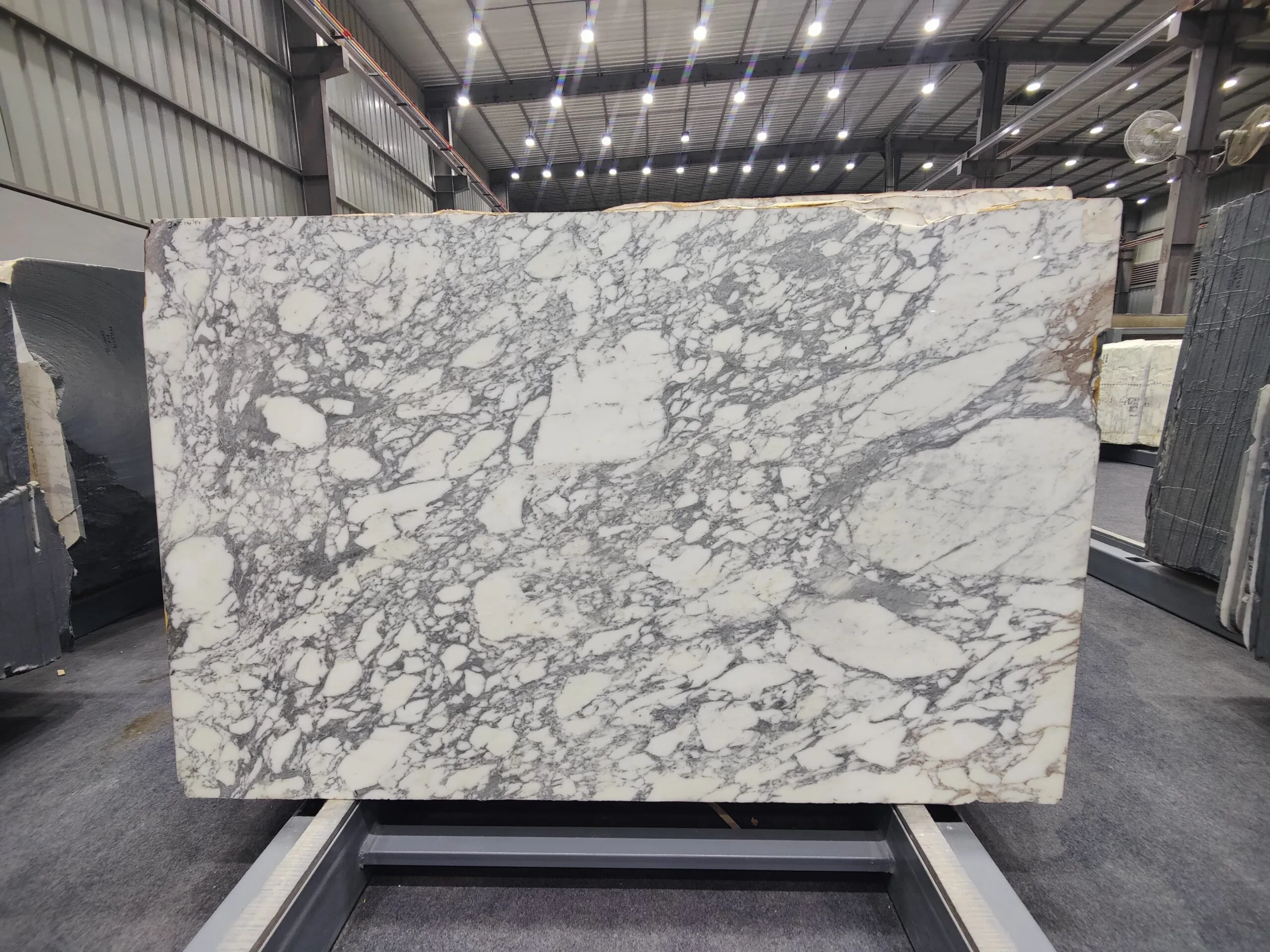 Best Imported Italian Marble Supplier | RMS Stonex