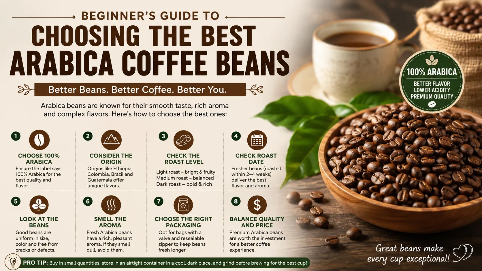 Best Coffee Guide