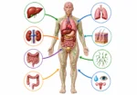 Plant Based Supplements | Nutraceutical Products | Golden Ratio