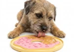 Glazed Donut™ Lick Mat – Turn Treat Time into Calm Time!