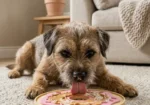 Glazed Donut™ Lick Mat – Turn Treat Time into Calm Time!