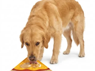 Herby_Pizza_8