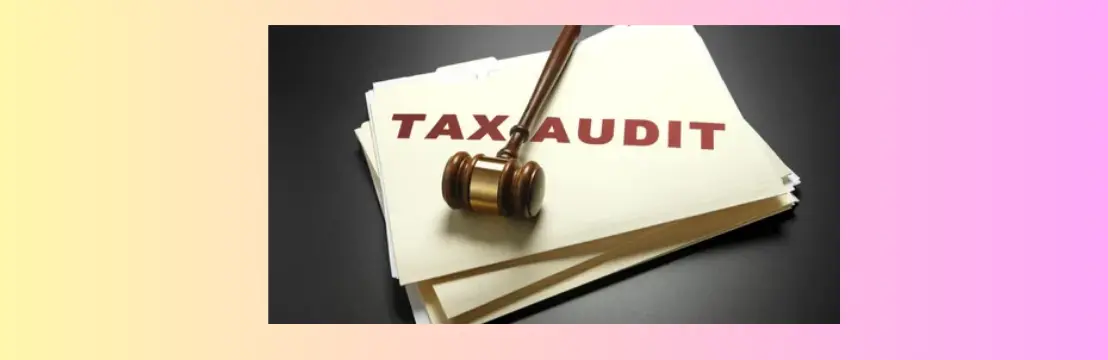 M&M AL Menhali Auditing