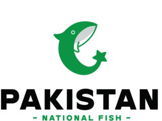Pakistan-fish-logo