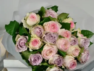 Roses-gift-wrapped