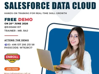 Salesforce-Data-Cloud-Free-Live-Demo-–-Register-Now-1