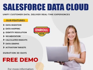 Salesforce-Data-Cloud-Online-Training-with-Experts