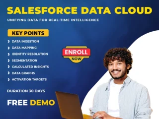 Salesforce-Data-Cloud-Training-Hyderabad-Corporate-Training