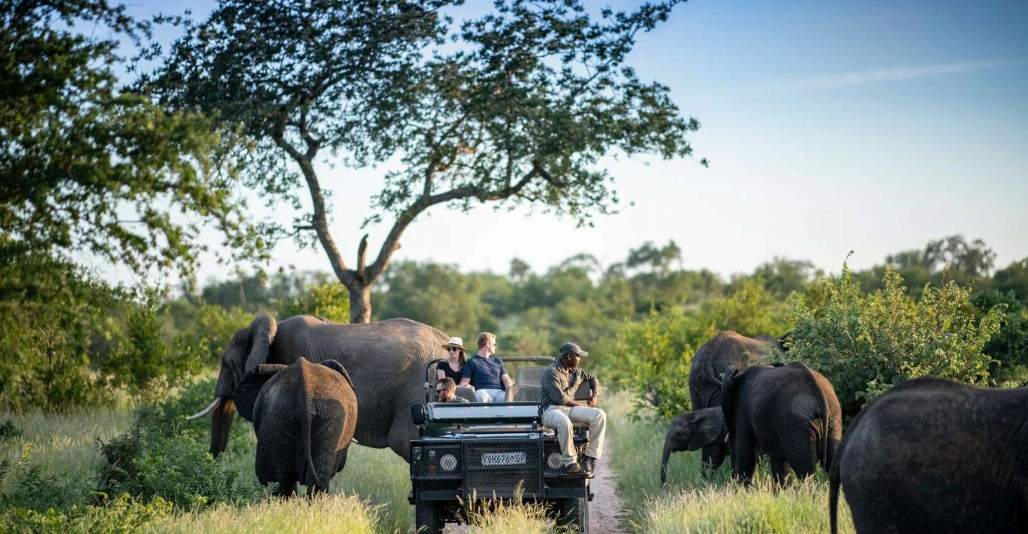 Best Spots for Ngorongoro Crater Wildlife Viewing on Best Safari in Tanzania