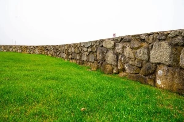 Revive Your Lawn with Spring Overseeding in Saginaw, MI