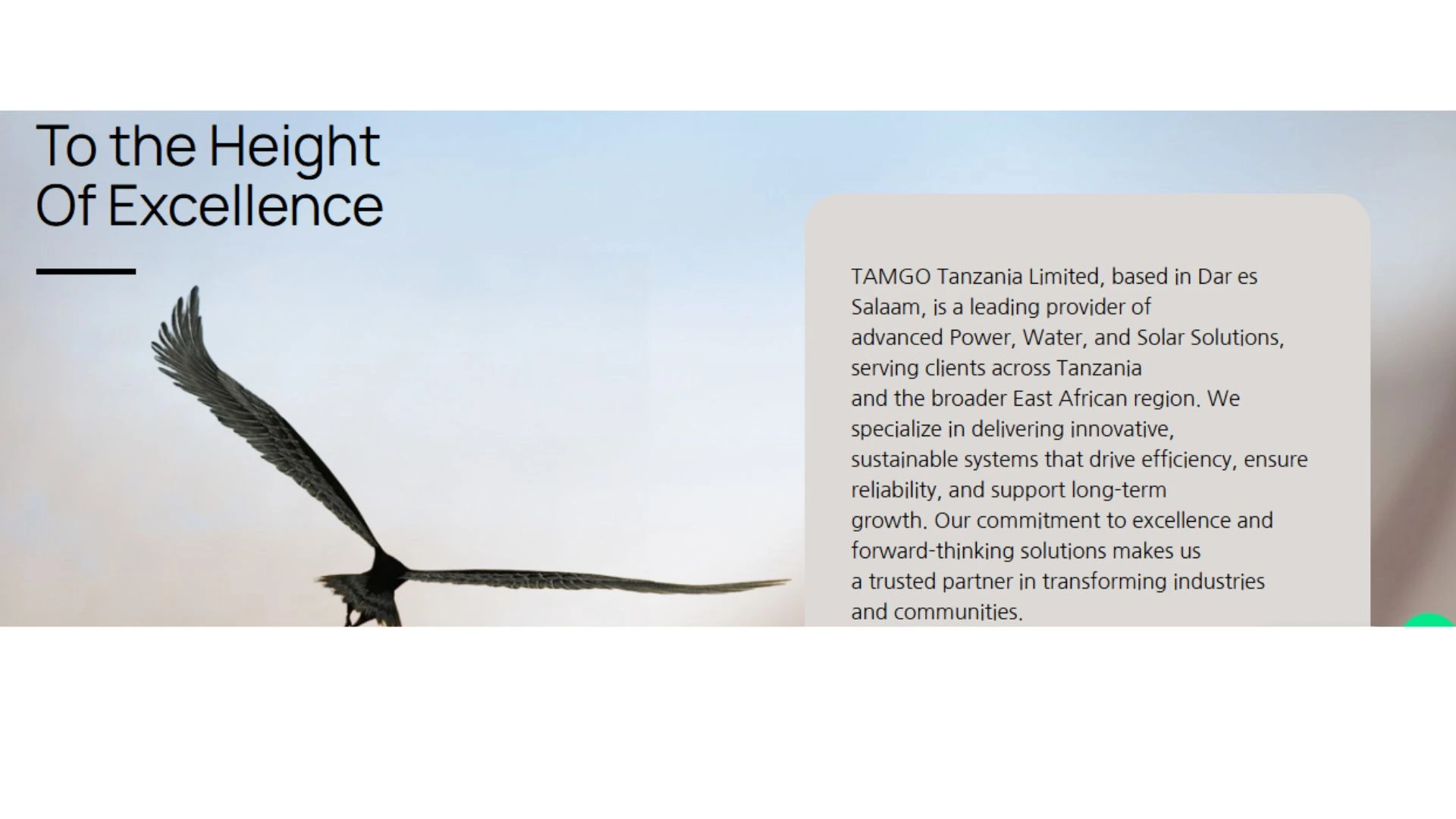 Tamgo Tanzania Limited