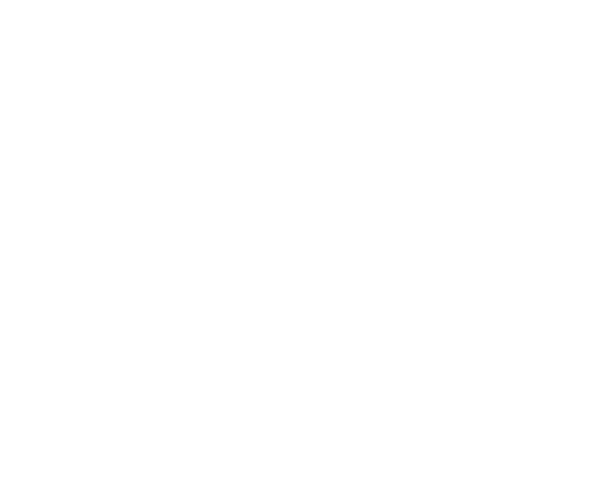 Xclusive Autoworks and Paint Protection