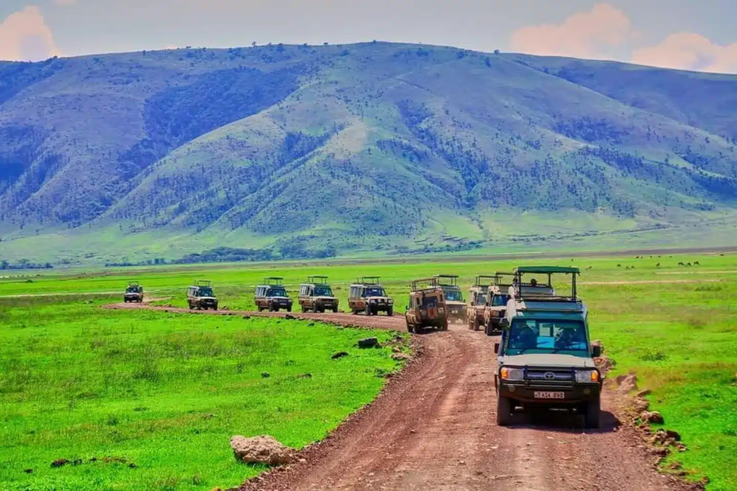 Top 10 National Parks to Experience on a Tanzania Tour Safari