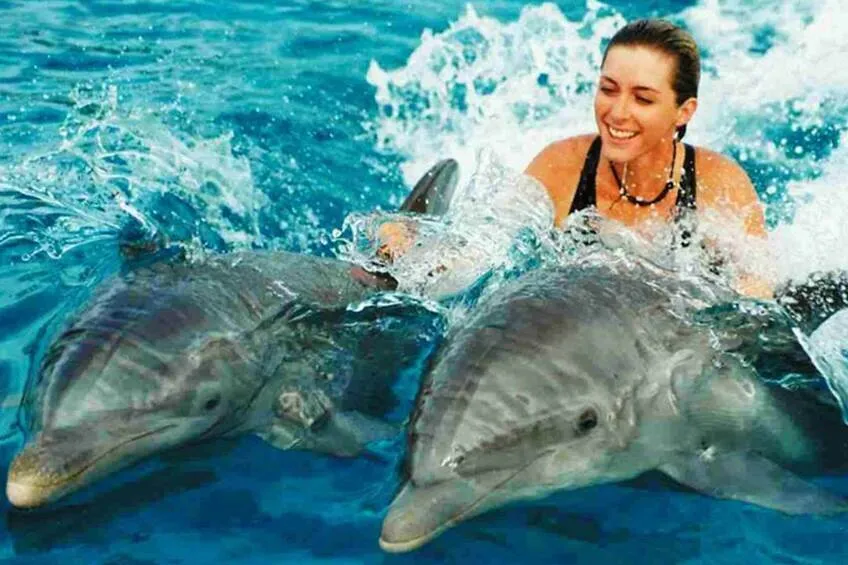 Top 5 Wonders to Experience with Dolphins at Zanzibar Beaches